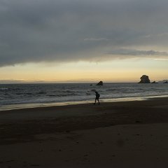 GirlsWildCat 076 : GirlsWildCat